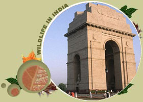 India gate